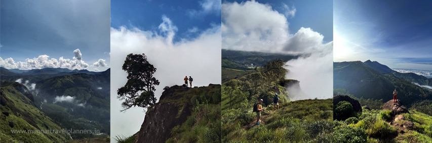 Letchi Hills Trekking / Day Trek / Munnar Trekking / Tea Plantion Walk / 4 Hours Trekking Munnar