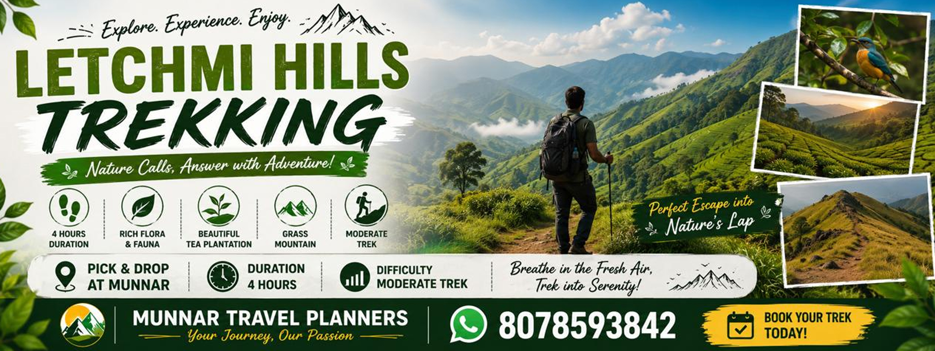 Suryanelli tent stay kolukkumalai trek